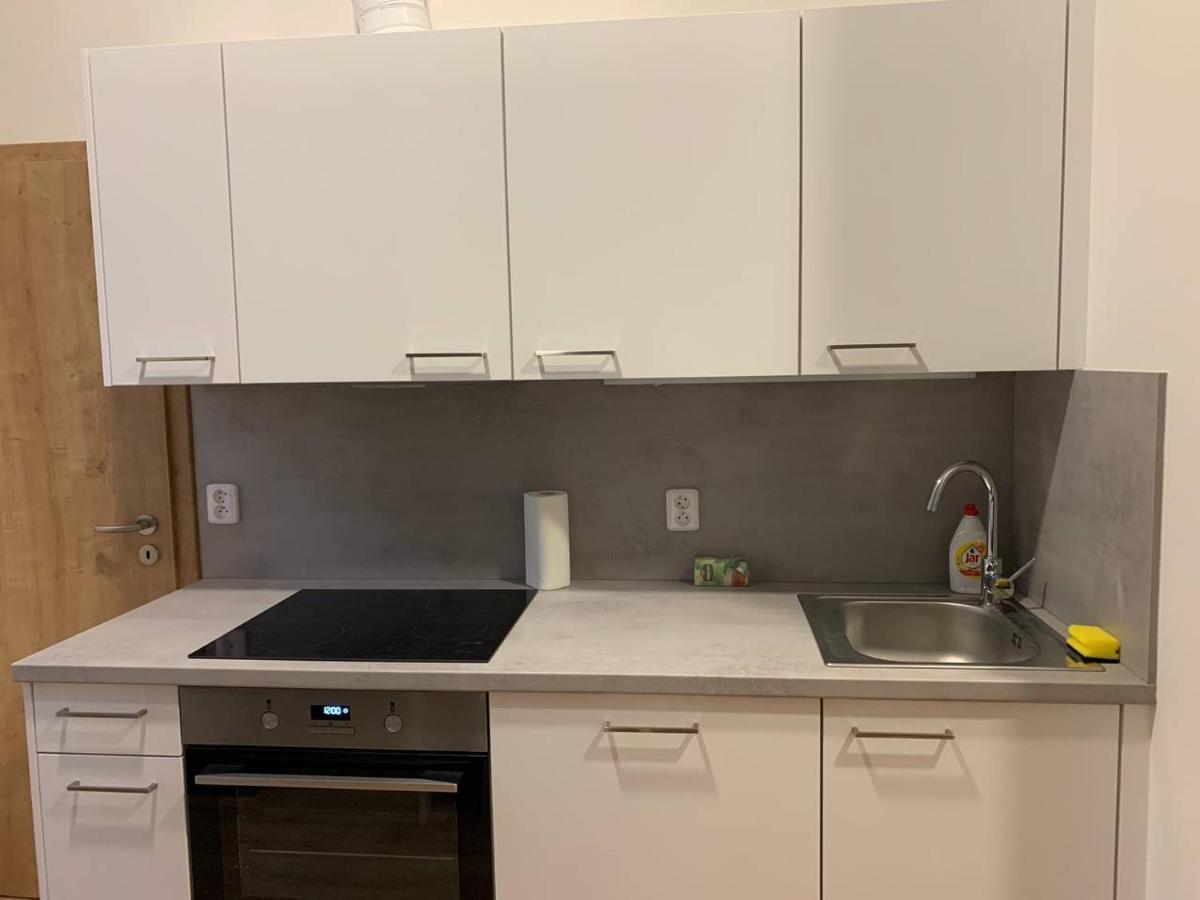 Apartment Brand New Prag