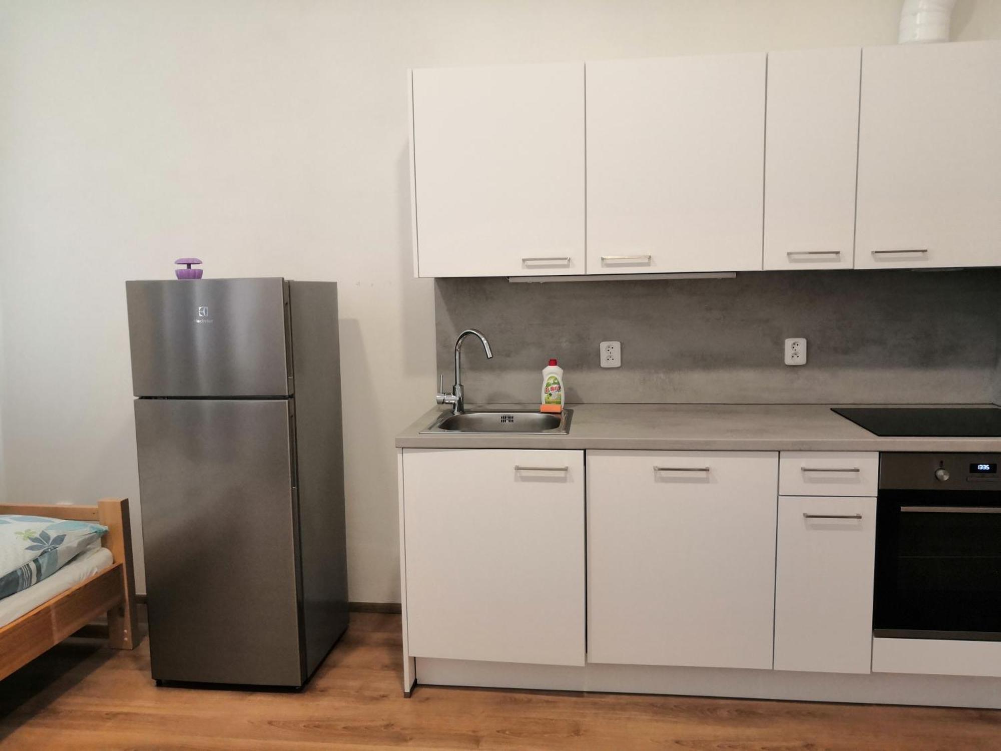 Apartment Brand New Prag
